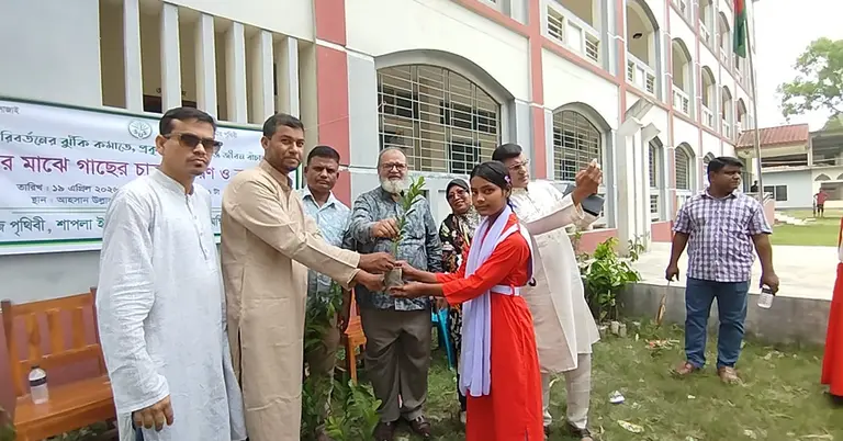 শিক্ষার্থীর হাতে চারা তুলে দেয়া হচ্ছে